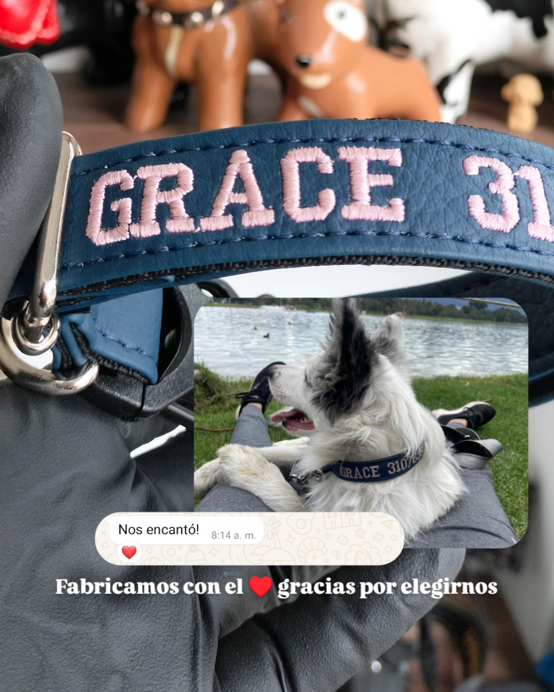 testimonio collar